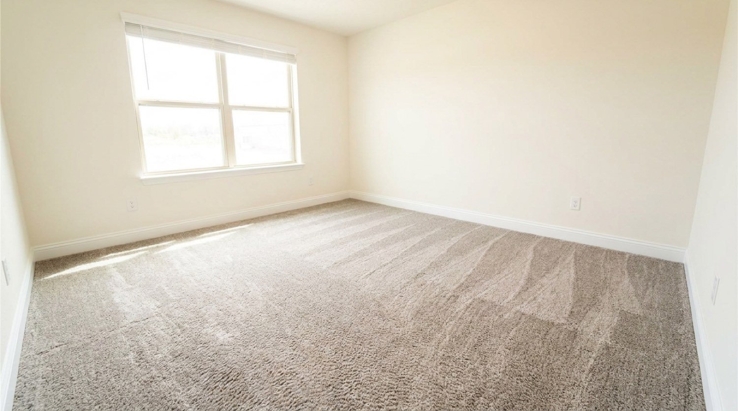 Empty bedroom with brand-new carpet freshly installed in Brandon FL